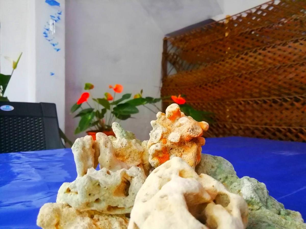 ホテル New Coral Garden ウェリガマ エクステリア 写真